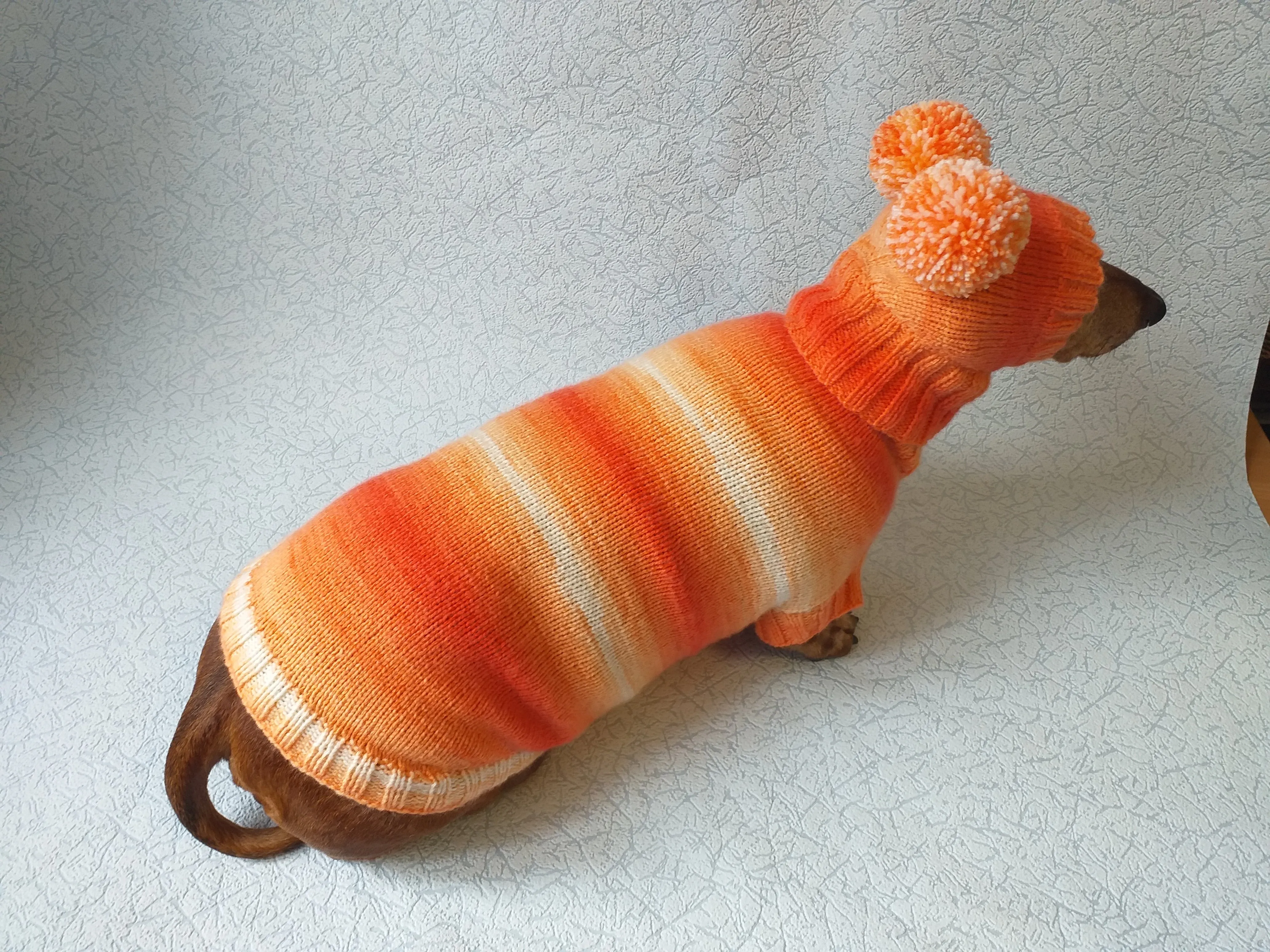 Wiener costume sweater and hat, Doxie sweater and hat set, clothes for small dog of dachshund